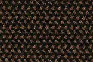 Грязезащитные покрытия Forbo Coral T32 320037200 Brown фото  | FLOORDEALER